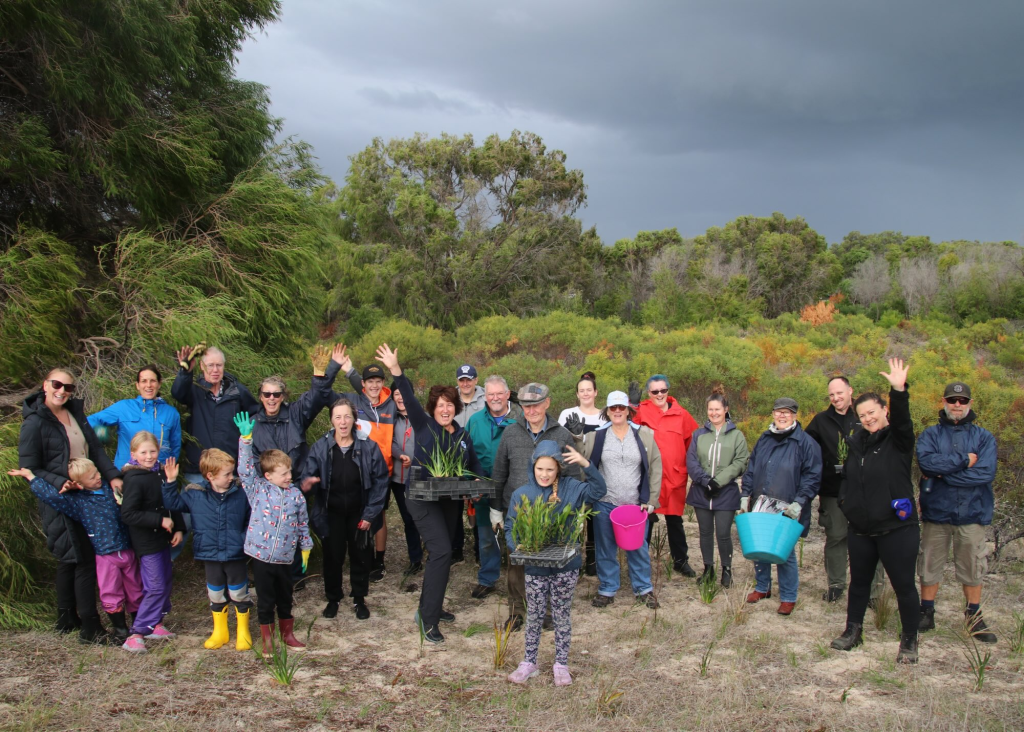 Tree planting